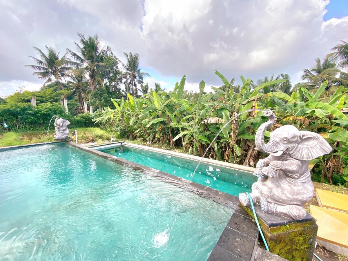 Ubud Rice Field House Exterior foto