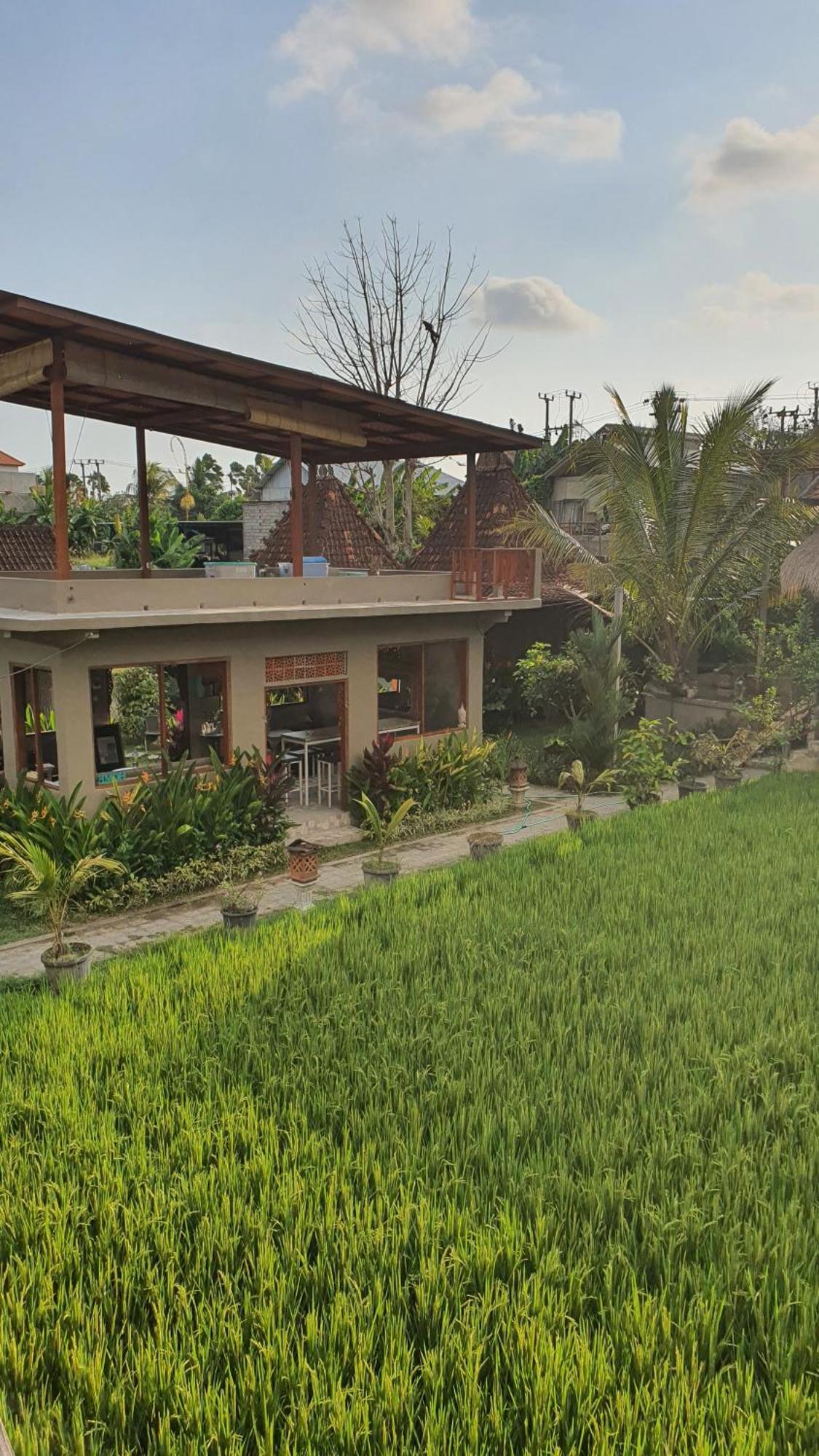 Ubud Rice Field House Exterior foto